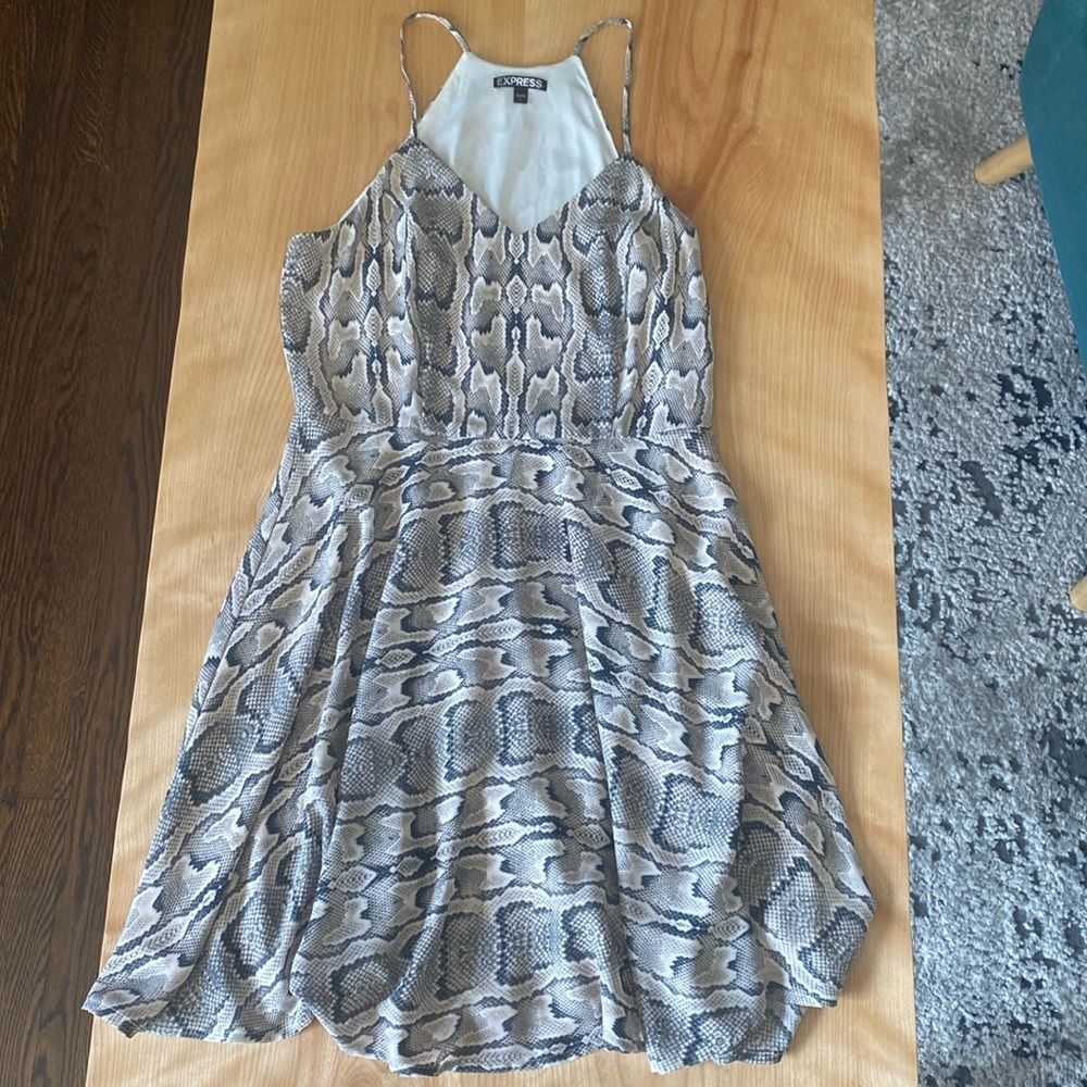 Snake Skin 🐍 Pattern Mini-dress: Express